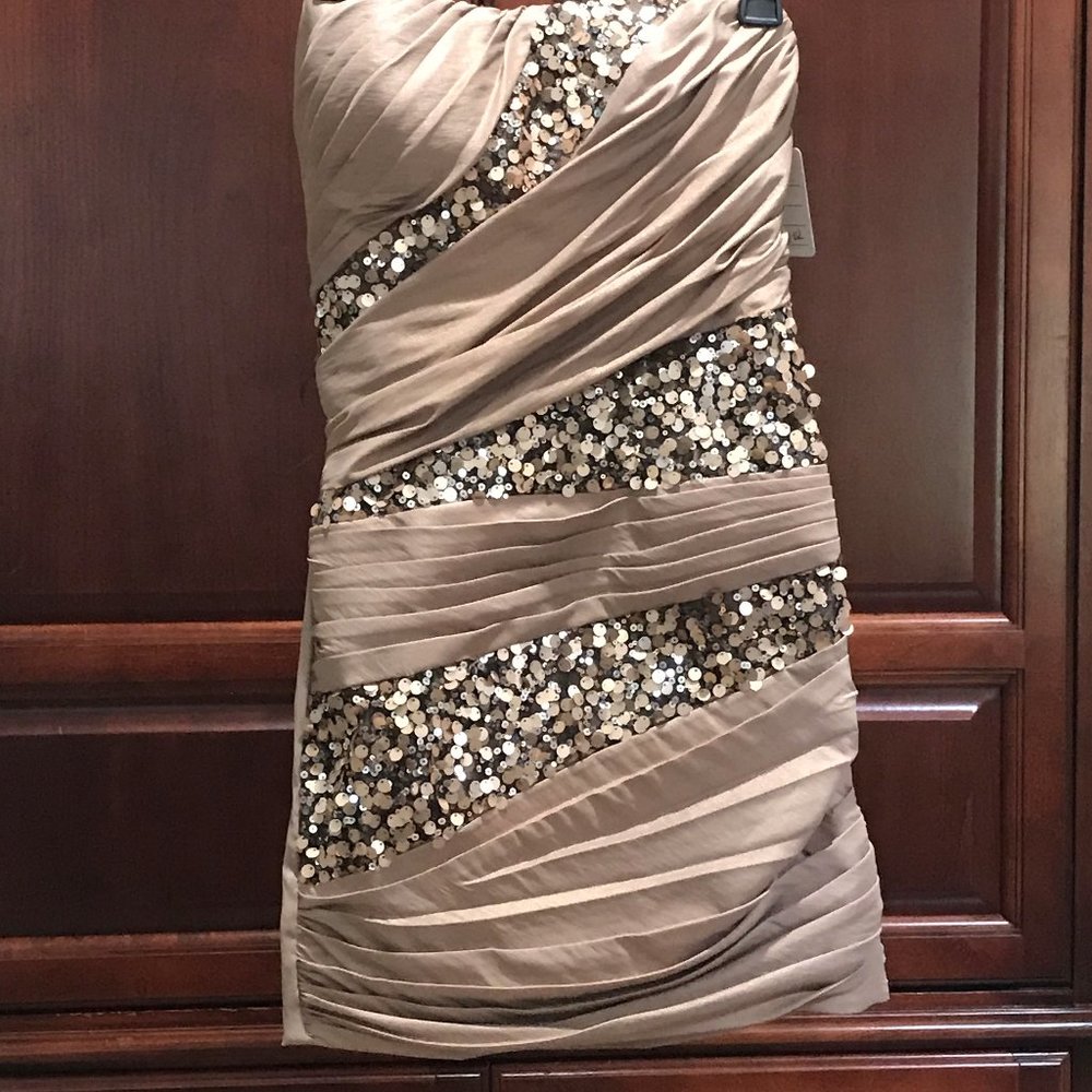 Strapless Party Dress
